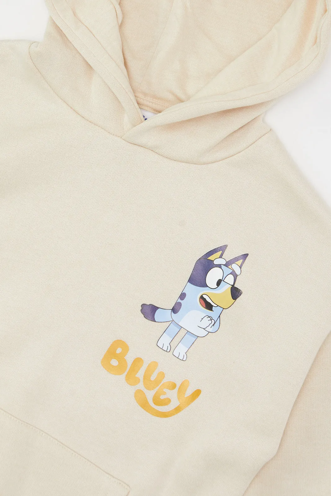 Boys Beige Bluey Hooded Sweatshirt