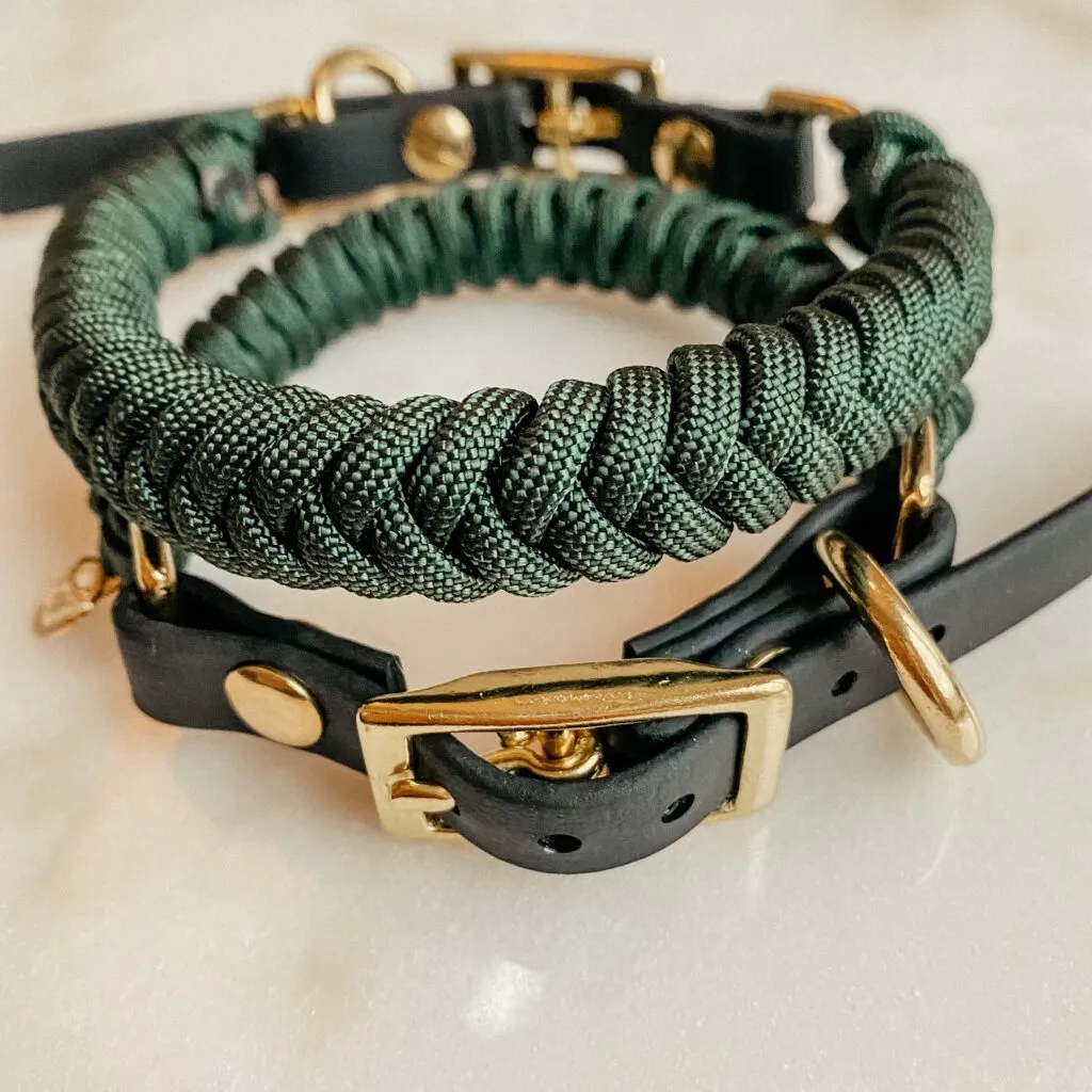 dog collar - hunter - paracord