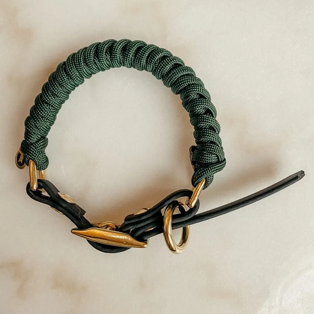 dog collar - hunter - paracord