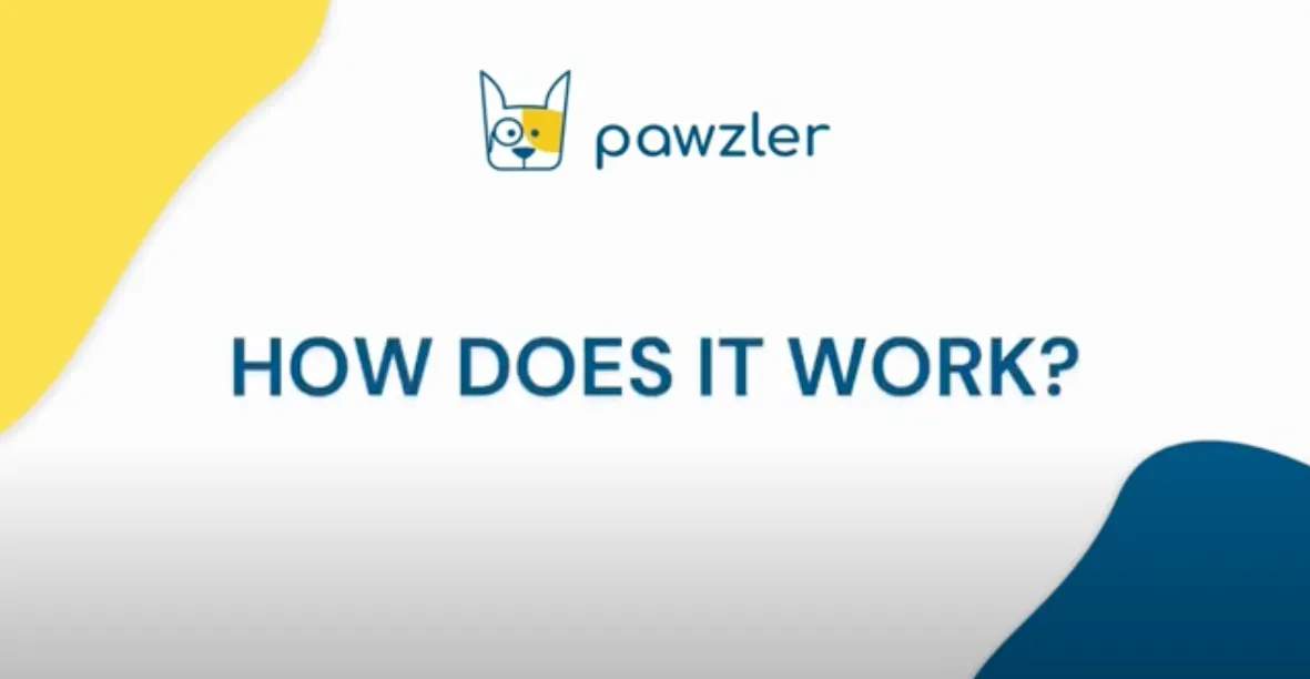 Pawzler Innovative Modular Dog Puzzles (Maya Without Base)