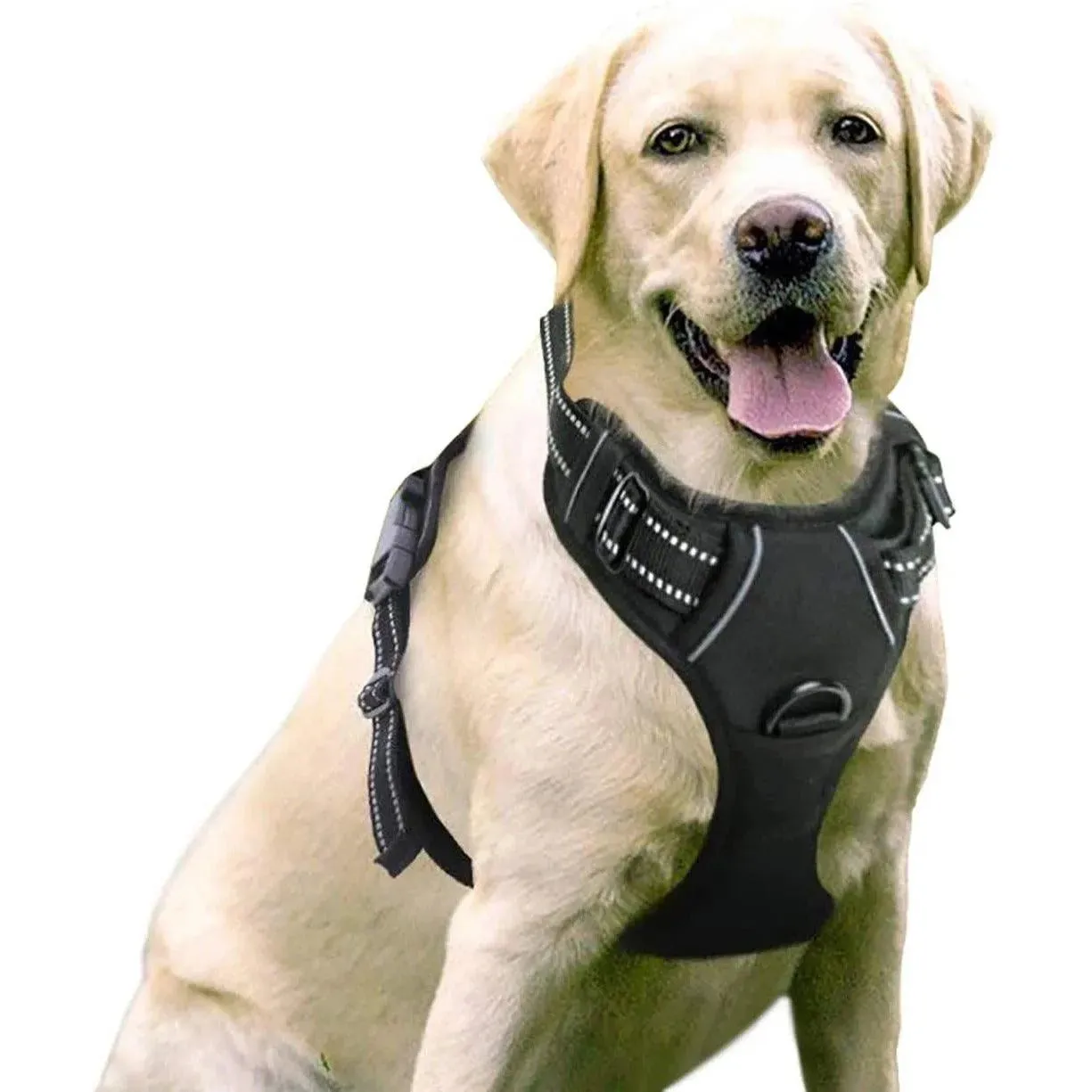 Pet Dog Chest Strap Vest with Explosion-Proof Buckle Traction Rope