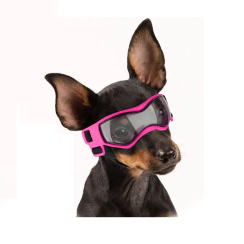 Sporty Goggles for Small Dog Breeds