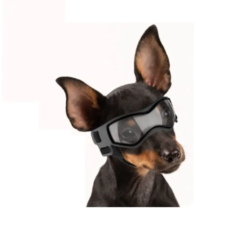 Sporty Goggles for Small Dog Breeds