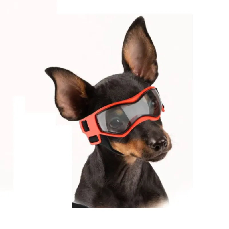 Sporty Goggles for Small Dog Breeds