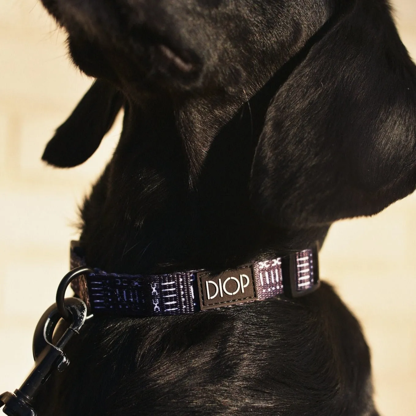 The Mud Black Dog Collar