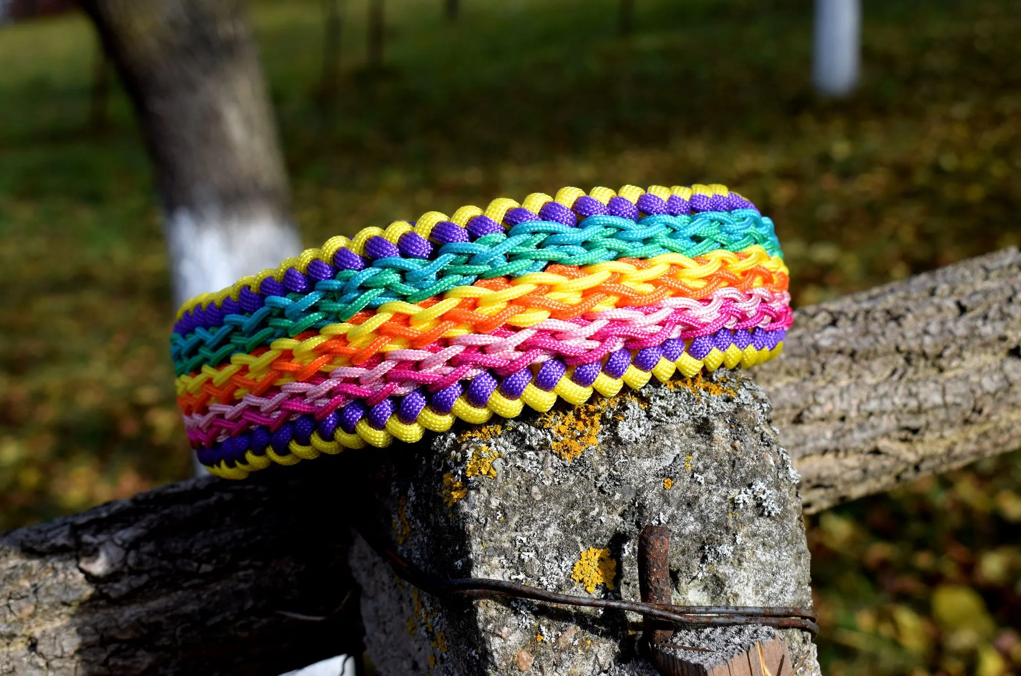 Zig-Zag madness Dog Collar